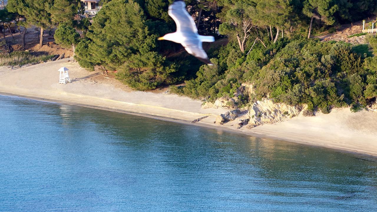 Elivi Skiathos Koukounaries Esterno foto